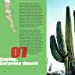 101 baja california cactus catavina
